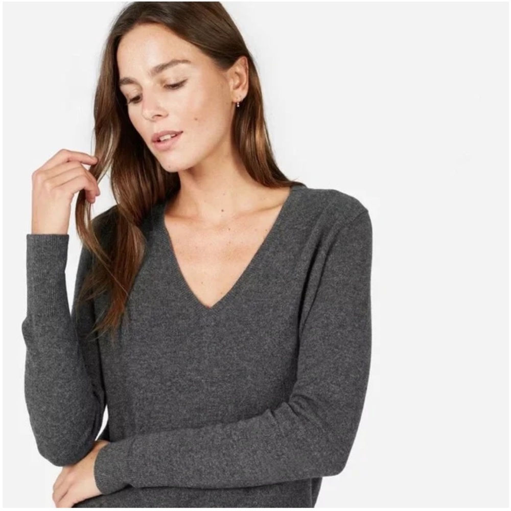 Everlane The Cashmere V-Neck